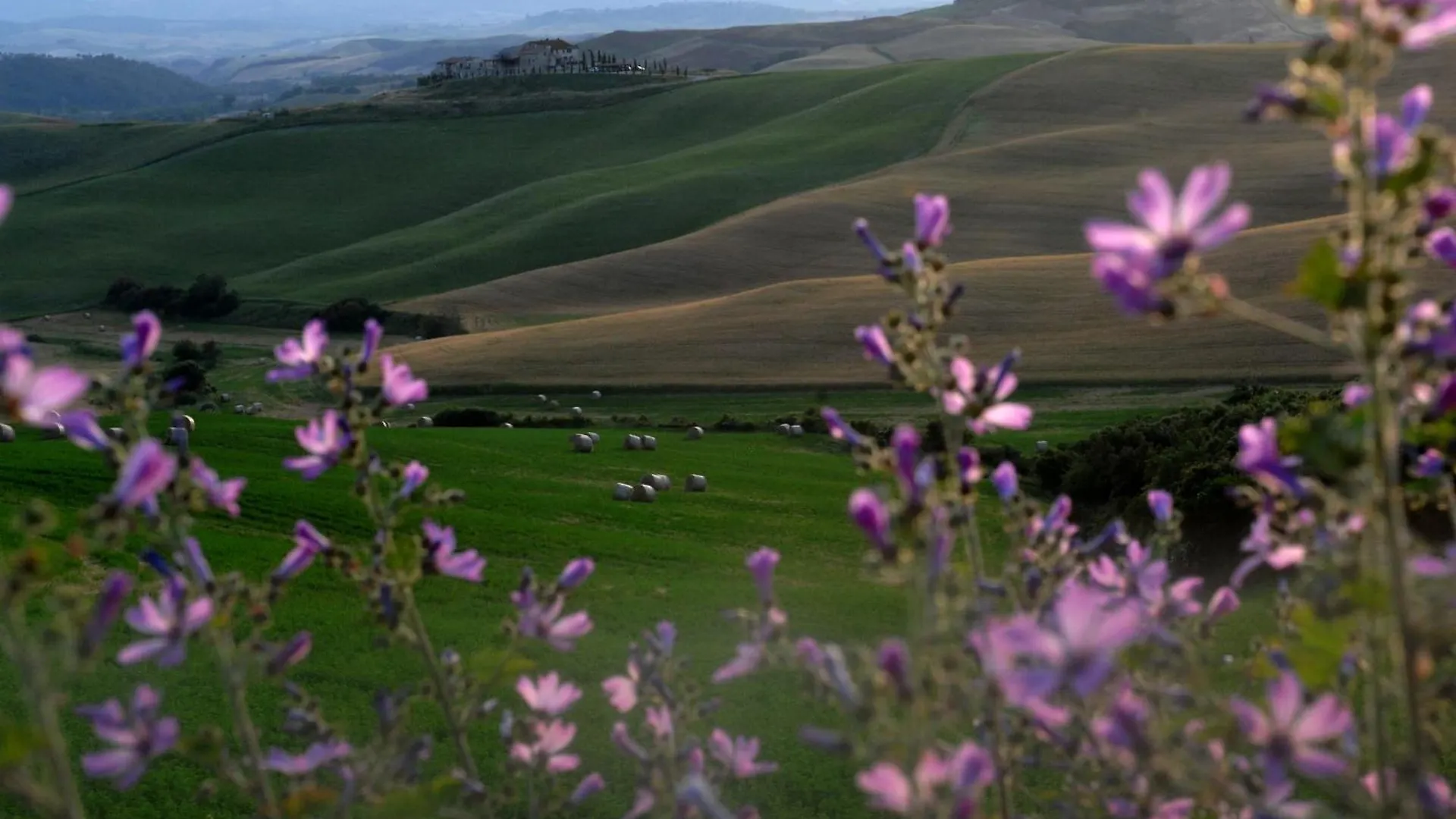 Agrihotel Il Palagetto Volterra Hotel